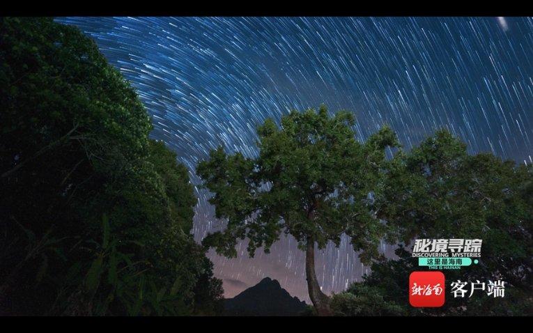 救援贪玩的大象