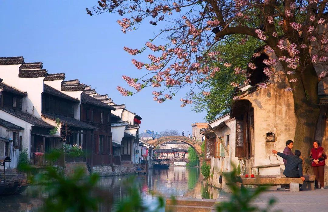 贪吃蛇怎么换出场皮肤游戏画面